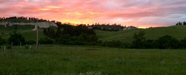 orchardsite